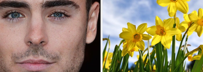 Man with brown hair and blue eyes next to daffodils under a cloudy sky